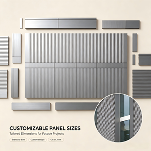 Panneau mural en aluminium anodisé moderne, anti-corrosion, pour revêtement extérieur de bâtiment, design contemporain - Product Image 3