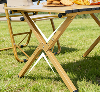 Table pliante de parc en métal de haute qualité, personnalisable, en promotion, pour jardin, cour, pique-nique et camping