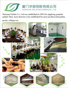 กระดูกอ่อนไก่คอลลาเจนประเภท <span class=keywords><strong>II</strong></span> 2จากกระดูกอ่อนไก่ - Product Image 6