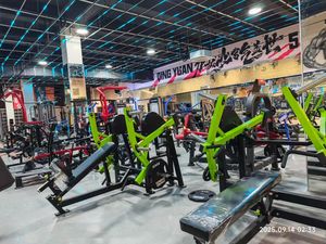 Máquina de Press de Pecho con Banco Plano para Gimnasio Comercial de Alta Gama SK Fitness, Entrenamiento de Fuerza con 3 Placas para Brazos, Asiento Prime - Product Image 2