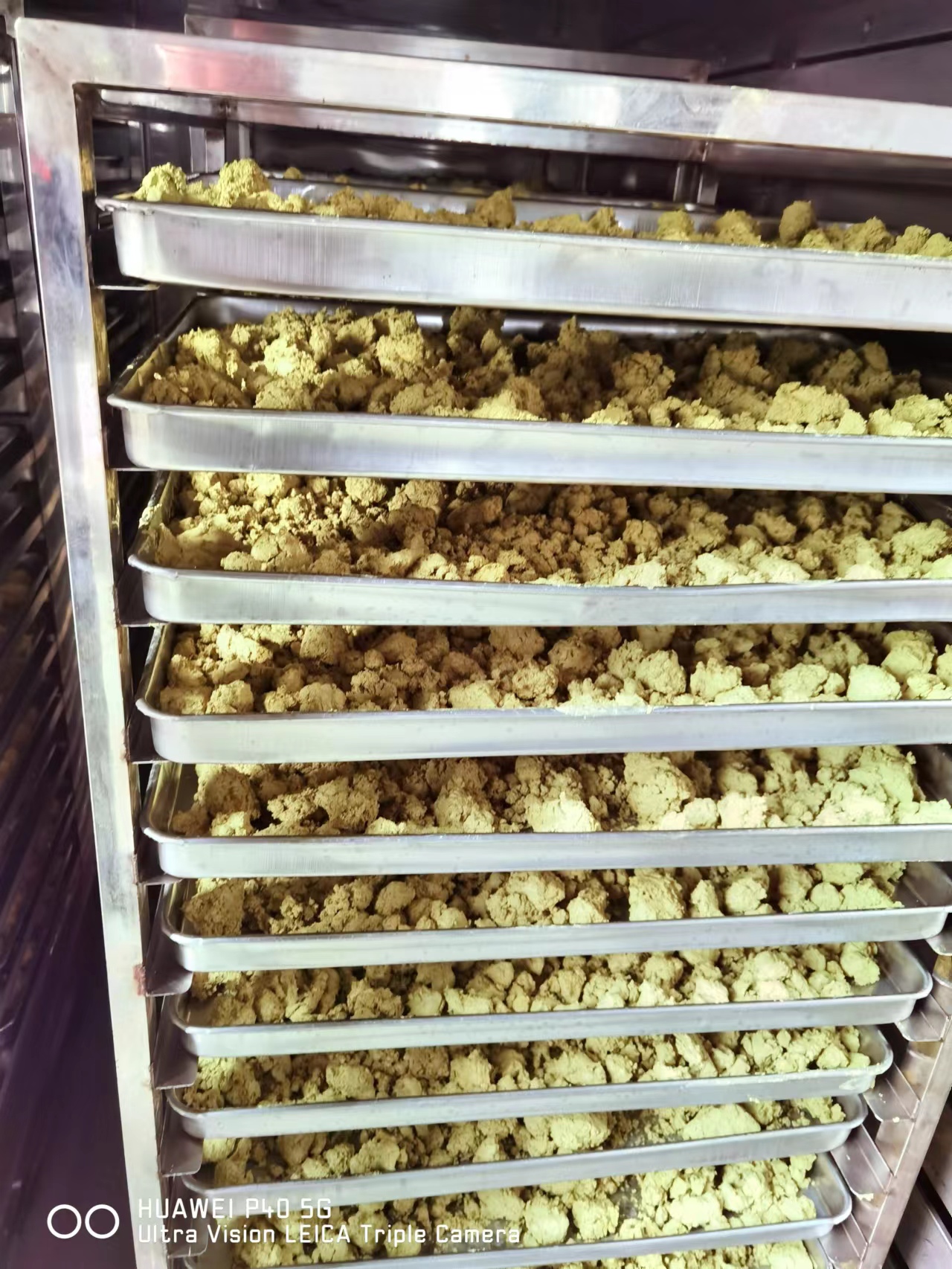 عصاره خالص Sophora Japonica 95% پودر روتین CAS 153-18-4 6