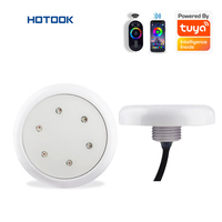 Lampu Kolam Renang LED RGB Mini Diameter 62mm Tahan Air IP68, Lampu Bawah Air LED 12V, Laris Terjual