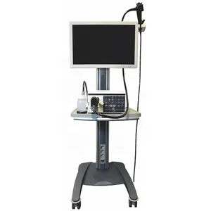 At/esnek veteriner endoskop fiyatı için büyük hayvan kullanımı 2.8mm video endoskop