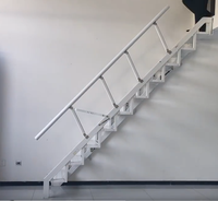 Escalier pliant en acier au carbone, monté au mur, échelle gain de place, escalier pliable pour usage intérieur, taille personnalisée disponible