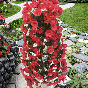 Decoración para el Hogar Transfronteriza: Guirnalda de Flores Artificiales de Gloría de la Mañana para Colgar en la Pared, Ideal para Graduación, Día de la Madre, Navidad, Pascua - Product Image 6