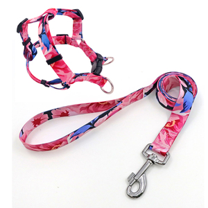 Conjunto de Arnés y Correa para Perro con Estampado Floral, Cierre de Hebilla Ajustable, Talla Pequeña, Estilo Moderno para Perros - Product Image 1