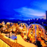 Rumah Kubah Geodesic Transparan Tenda PC Resor Hotel Pabrikan Ukuran Kustom Luar Ruangan