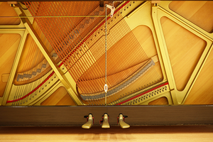 Instrumentos musicales importados al por mayor, instrumentos musicales de piano usados - Product Image 5