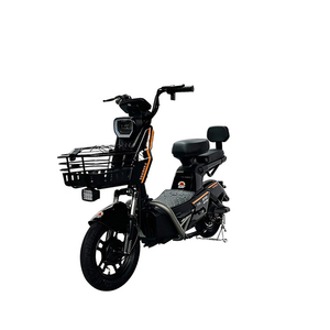 Vélo Électrique d'Occasion 24V pour Adultes, Modèle 2023, avec Moteur, pour le Canada, 12, 24 et 29 Pouces, Pièces et Accessoires pour Vélos Chinois - Product Image 5