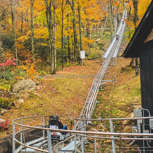 Type de produit Premium Outdoor Alpine Mountain Slide Roller Coaster Adventure Amusement Ride Challenge avec Grass Skiing Touch - Product Image 1