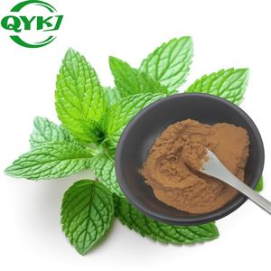 Yüksek Kaliteli Doğal Bitki Nane Yaprağı Ekstresi Tozu (10:1, 20:1, 30:1) - Product Image 3