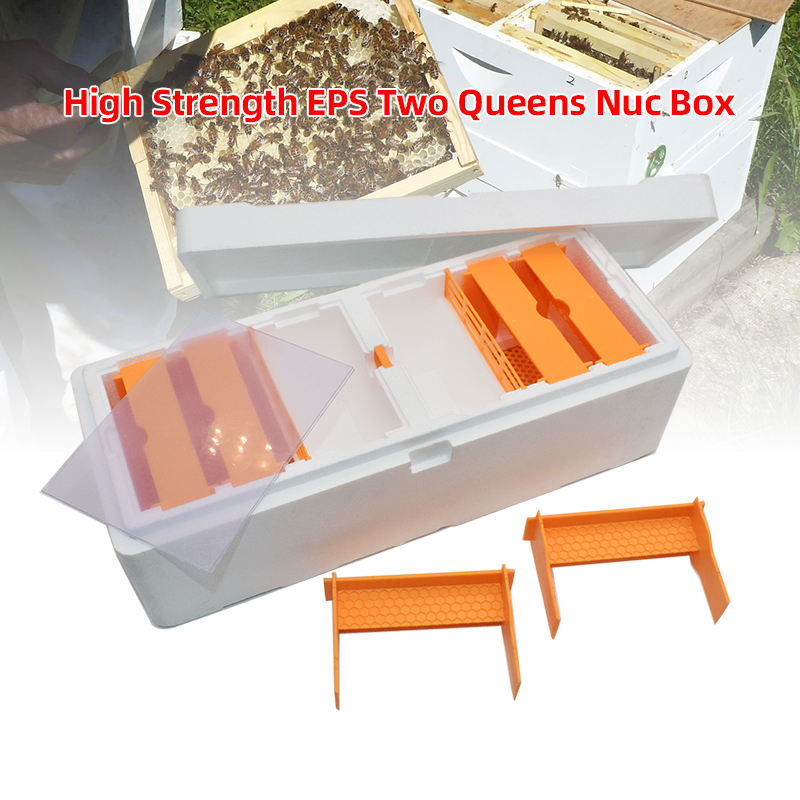 High Strength EPS Double Nuc Boxes Polystyrene Two Bee Queen Rearing Mating Nucs
