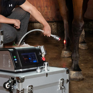 Мощный ветеринарный лазерный аппарат для физиотерапии 810 нм 980 нм, 10-30 Вт, для заживления ран у животных - Product Image 5