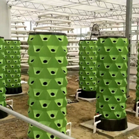 Tour, jardin, système hydroponique vertical pour la plantation