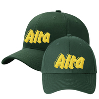 Gorra de Béisbol Deportiva Personalizada al por Mayor con Logotipo Bordado en 3D, Color Verde Bosque, 6 Paneles Estructurados, Algodón de Alta Densidad, Ajustable