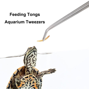 Pince longue pour <span class=keywords><strong>aquarium</strong></span> en acier inoxydable, pinces <span class=keywords><strong>d</strong></span>'alimentation pour reptiles, embouts antidérapants, outils de terrarium et <span class=keywords><strong>d</strong></span>'aquascaping pour serpent, dragon <span class=keywords><strong>barbu</strong></span> - Product Image 6