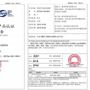 Disjoncteur hydraulique Delixi monophasé 2P transparent 100A/63A type DZ15-100T/2901 - Product Image 1