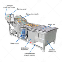 Hnoc Heavy Duty Automatische Champignonwasmachine Reinigt 250Kg Warm Water Wasmachine Voor Fruit En Groenten