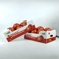 Caisse d'emballage pour l'exportation de fruits et légumes, en plastique MFPP Coroplast, robuste, écologique, recyclable, imperméable et réutilisable