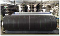 Toile de paillage tissée en PP résistante aux UV pour l'agriculture et le jardin