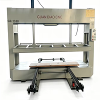 Presse à froid hydraulique entièrement automatique pour le travail du bois 50/60/100T, machine de pressage de plaques à chargement automatique pour portes d'armoires composites