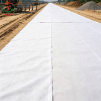 Géotextile aiguilleté à haute résistance WSL pour le traitement des fondations de sols molles sur autoroutes et l'élargissement de routes à fibres longues
