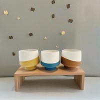 Moule à pot de bonsaï rond en céramique chromé bicolore de style européen en forme de grenouille, classique, vente en gros, décoration maison et jardin