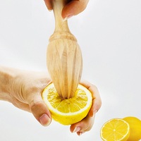 Presse-agrumes manuel en bois, presse-citron et presse-orange portable, outil de cuisine pour la maison, G25-662