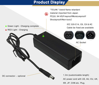 Fuyuang Chargeur de batterie portable 12V/ 14.6V/ 24V/ 29.4V/33.6V Chargeur de batterie Li-ion pour véhicules électriques