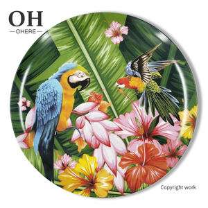 Autocollant <span class=keywords><strong>de</strong></span> perroquet coloré sur porcelaine émaillée fournitures <span class=keywords><strong>de</strong></span> fête <span class=keywords><strong>jetables</strong></span> Style ensemble <span class=keywords><strong>de</strong></span> vaisselle en céramique-assiette à salade plat à salade - Product Image 2