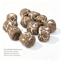 Guimauves lyophilisées enrobées de chocolat, croustillantes et aériennes, en vrac, vente en gros, OEM, ODM, emballage personnalisé, bonbons halal, boîte de friandises
