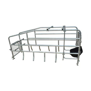 Yeni MUFA modeli 001 tipi sıcak galvanizli çelik Sow gebelik kafes domuz çiftlik Sow farfarverimli ayırma için 1 yıl garanti - Product Image 1