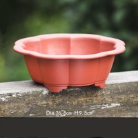 Dia. 26.8cm H.9.5cm Classique Grand Rond En Plastique Bonsaï Pots Succulent Planteur En Plastique Bonsaï Pot
