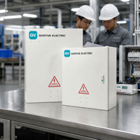 Boîtier de distribution d'alimentation extérieur étanche IP65 mural en acier avec serrure OEM