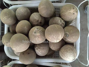 Nhà Máy Trực Tiếp Bán Dừa Desheller Dừa Shell Breaker Máy Dừa Trấu Loại Bỏ Máy - Product Image 6