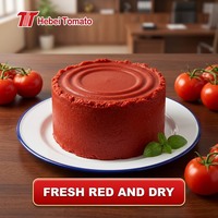 Pâte de tomate en conserve de haute qualité, fraîche, 28-30% Brix, vente en gros, OEM, marque privée, pâte de tomate doublement concentrée