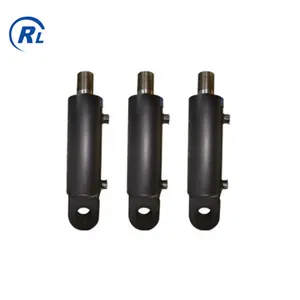 Qingdao Ruilan Customize High Quality Single Acting Hydraulic Cylinder Double Acting Hydraulic Cylinder
