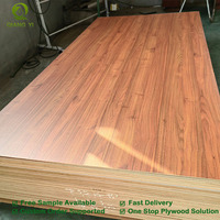Contreplaqué sans formaldéhyde 3/4 plis 4x8 à âme en eucalyptus, anti-termites, Qiangyi, haute résistance pour mobilier de bureau