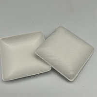 Assiettes jetables compostables Plat à sauce bagasse canne à sucre biodégradable