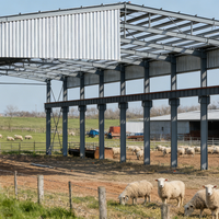 Bâtiment Agricole en Acier Léger Préfabriqué pour Élevage Avicole – Conception Personnalisée de Poulailler Métallique à Installation Rapide