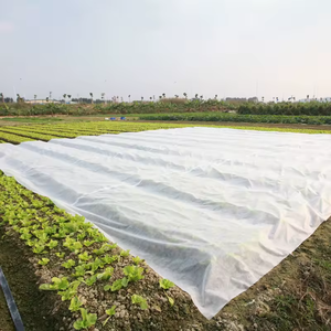 Couvertures pour plantes Protection contre <span class=keywords><strong>le</strong></span> gel et <span class=keywords><strong>le</strong></span> soleil 10x30 pieds Couverture anti-gel jusqu'à -28°C ° Couverture flottante pour plantes, tissu de jardinage, protection contre les températures extrêmes - Product Image 4