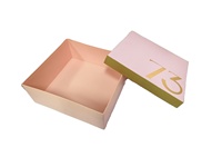 Organizador de Zapatos Rígido con Tapa y Base, Color Rosa, para Guardar Calcetines, Ropa de Piel y Prendas de Vestir, Personalizable