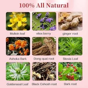 Protección natural del útero Té de desintoxicación de la salud Mioma uterino Limpiar el útero Productos Fertilidad a base de hierbas Bolsas de té cálidas del útero para mujeres - Product Image 4