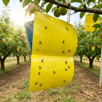 Vliegenvanger met kleefmiddel voor fruitvliegen - Fabrikant maakt fruitvliegenvangers op maat in diverse formaten - Fruitvliegenvanger