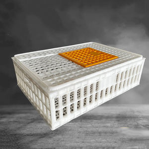 Jaulas de Plástico <span class=keywords><strong>para</strong></span> Aves de Corral <span class=keywords><strong>para</strong></span> Transportar Pollos Vivos, <span class=keywords><strong>Jaula</strong></span> de Transporte <span class=keywords><strong>en</strong></span> <span class=keywords><strong>Venta</strong></span> - Product Image 3