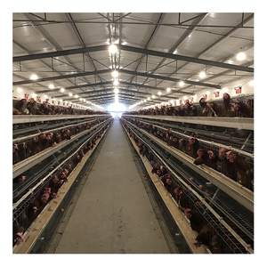 Gabbie per galline, - Product Image 4