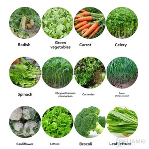 Seminatrice Multifila per <span class=keywords><strong>Ortaggi</strong></span>/Erbe, Piccola Seminatrice per <span class=keywords><strong>Semi</strong></span> - Product Image 3