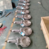 Vanne à opercule en acier inoxydable ANSI 1-1/2"~24" DN40-DN600 150LB PN16 10K CF8 CF8M Industrielle pour l'industrie pétrochimique
