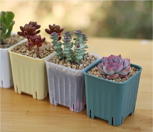 Vaso di fiori succulento in plastica quadrata spessa gialla con Design semplice con rifinitura opaca - Product Image 6