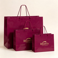 Sacs en papier personnalisés de luxe biodégradables avec poignée en ruban, emballage en papier gaufré, sac cadeau avec votre propre logo